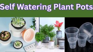 “Self Watering Plant Pots: Hassle-Free Plant Care ”