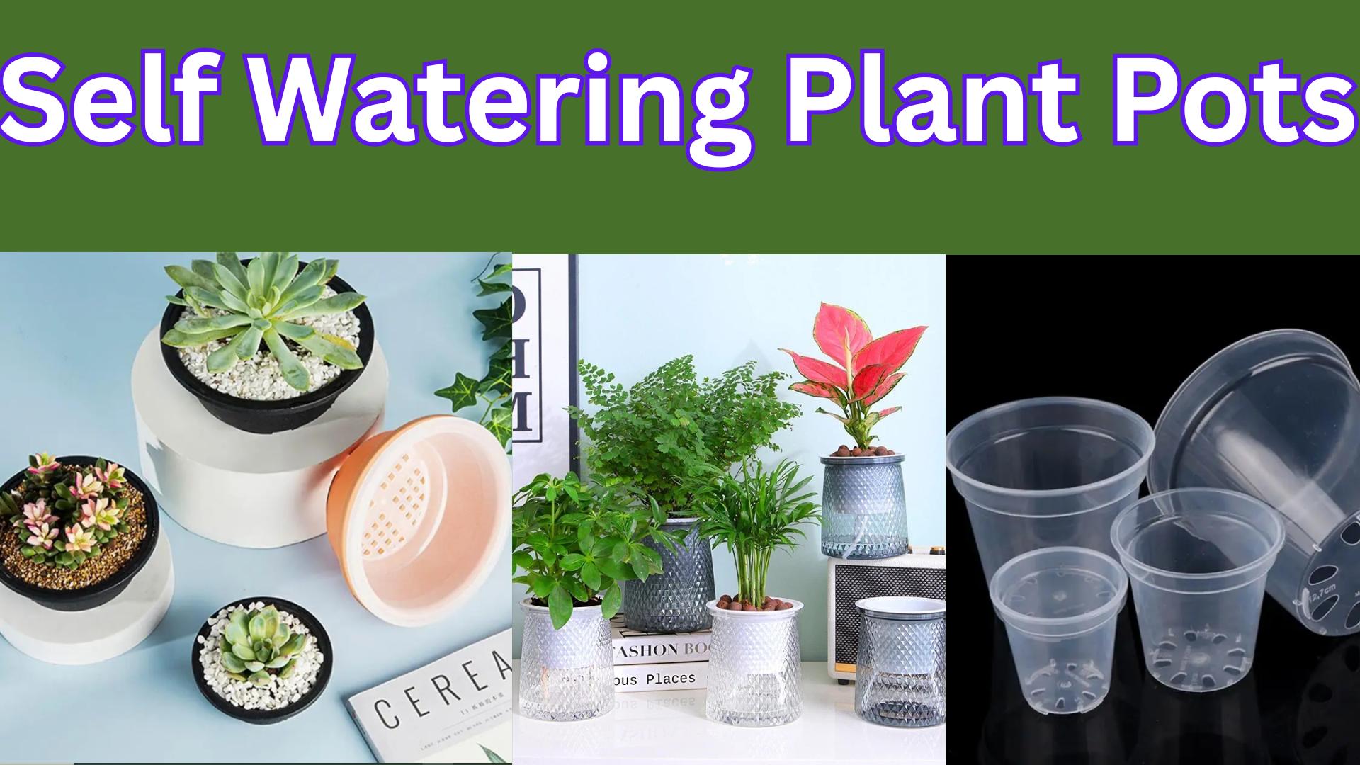 “Self Watering Plant Pots: Hassle-Free Plant Care ”