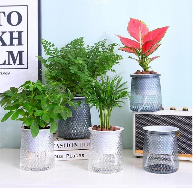 Tashon pot 