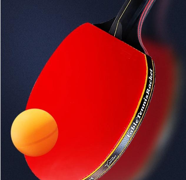 Professional Table Tennis Racket