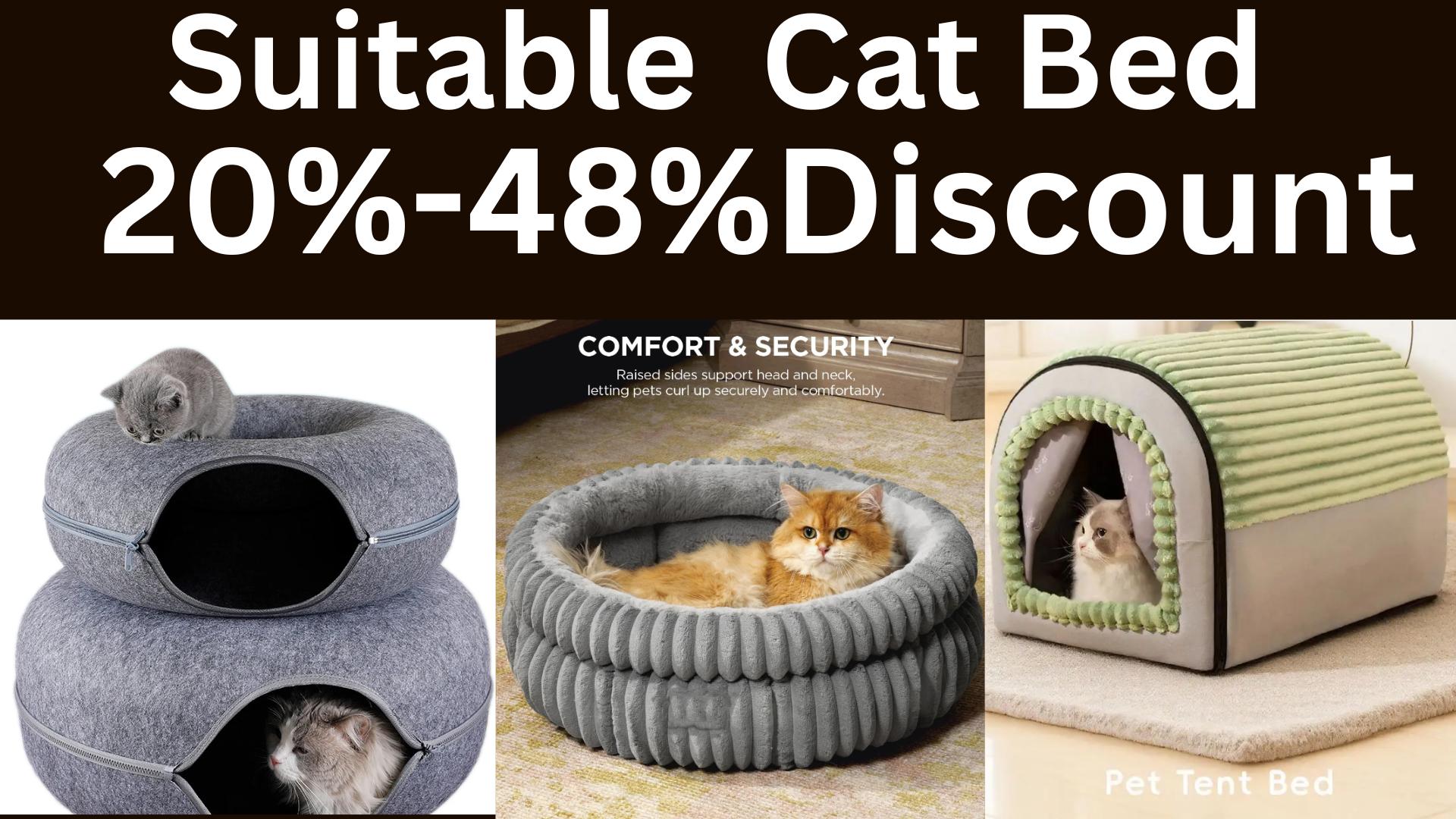 Best 7 Suitable Cat Bed Review