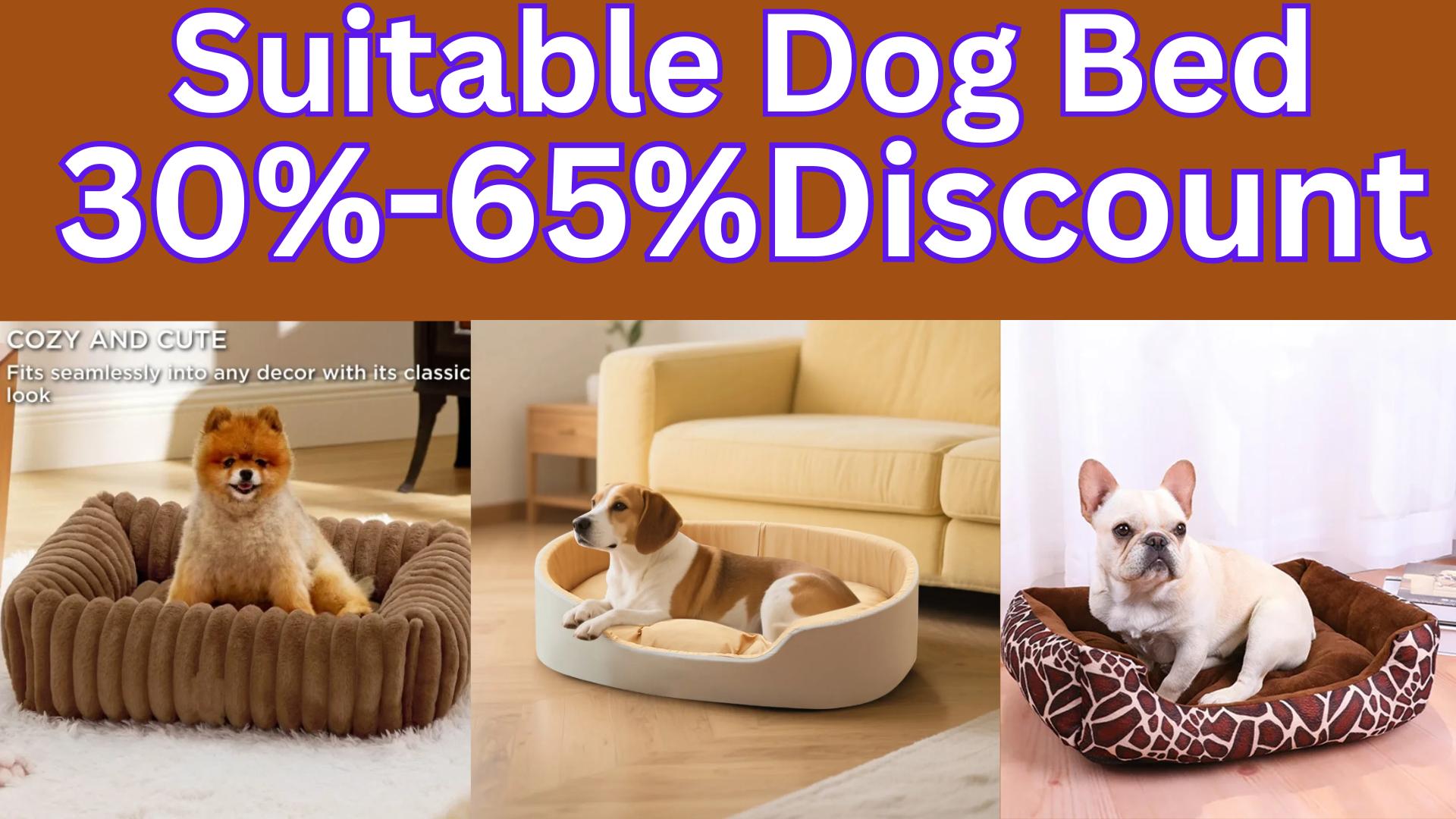The Best 7 Suitable Dog Bed Review|