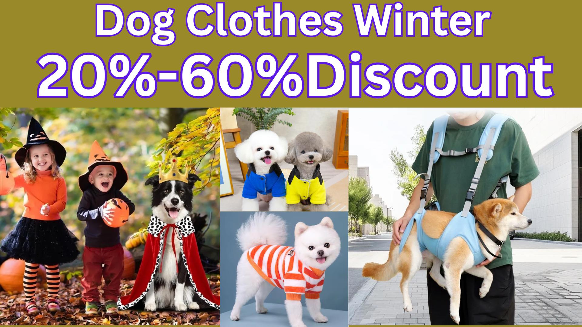 Pawsitively Snazzy:7 Winter Dog Clothes Review| Aren't a Joke.