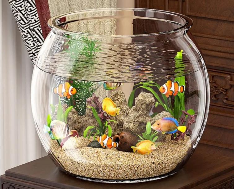 Aquariums Fish Tank