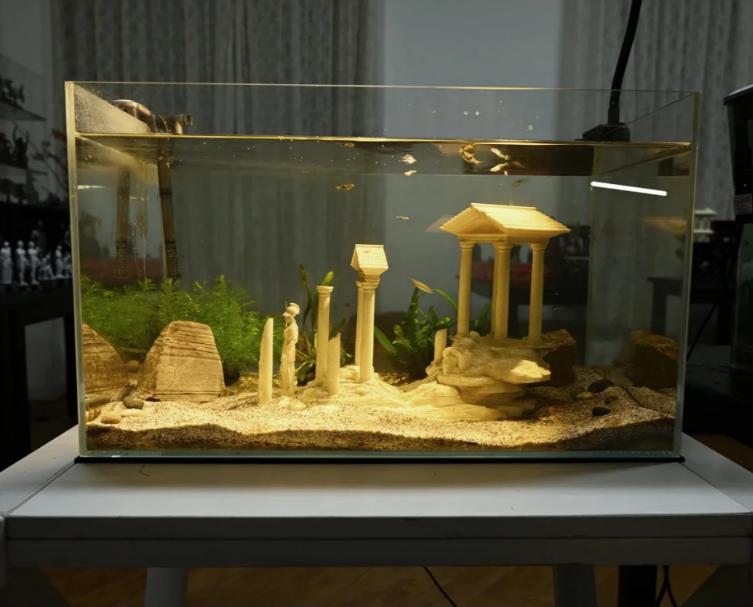 Aquariums Fish Tank