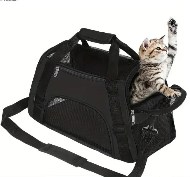 Cat Outward Bag