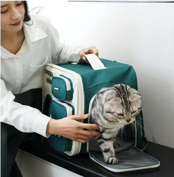 Cat Outward Bag