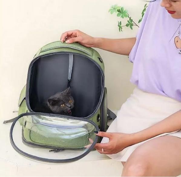 Cat Outward Bag