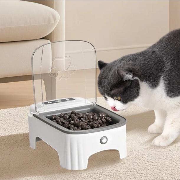 Cat Feeder