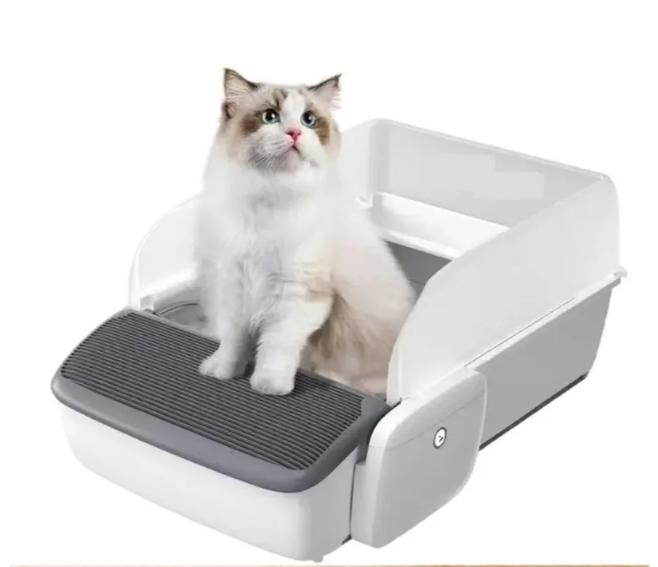 Cat Litter Box