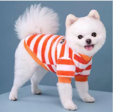 Winter Dog Clothes