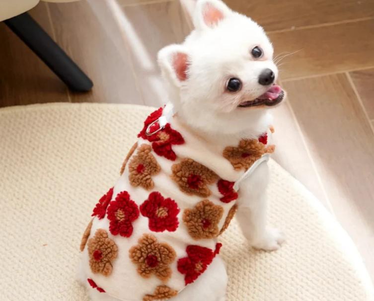 Winter Dog Clothes