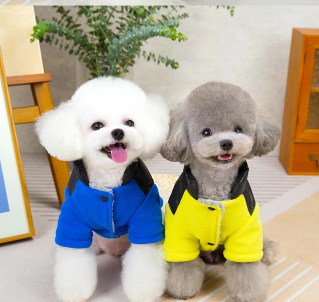 Winter Dog Clothes