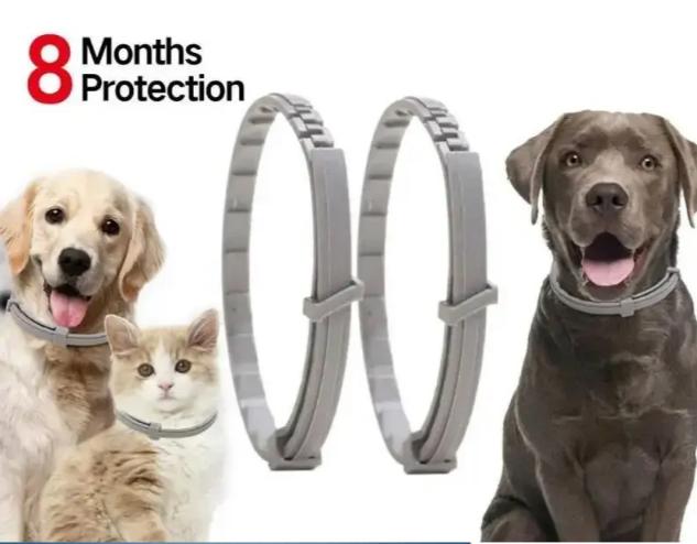 Flea & Tick Controls