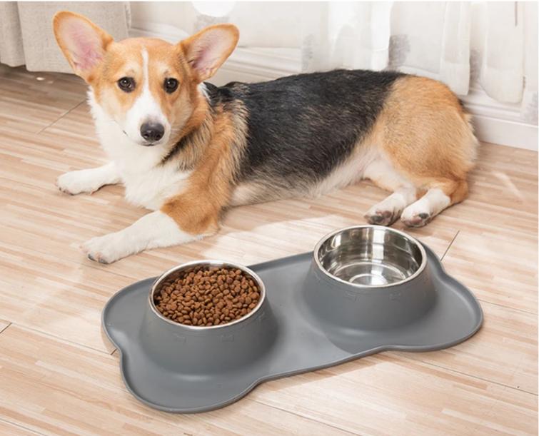 Pet Dog Feeder