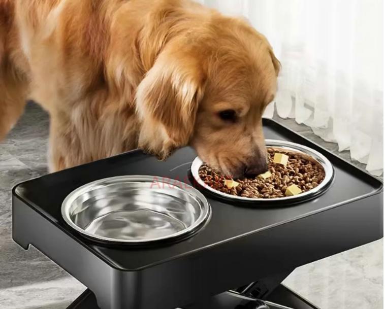 Pet Dog Feeder