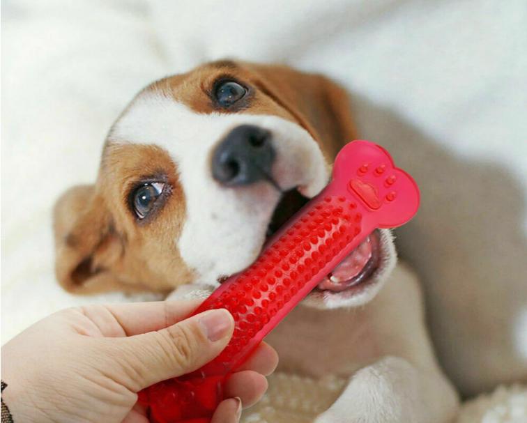 Pet Dog Toys