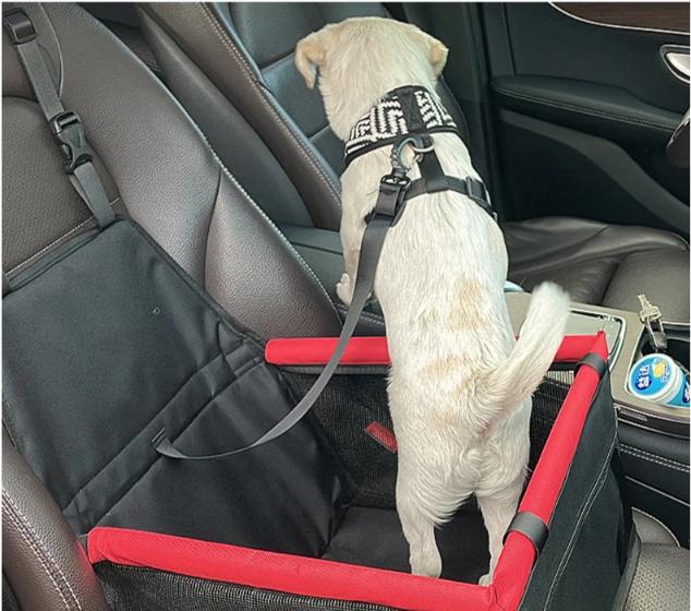 Pet Carrier Stroller