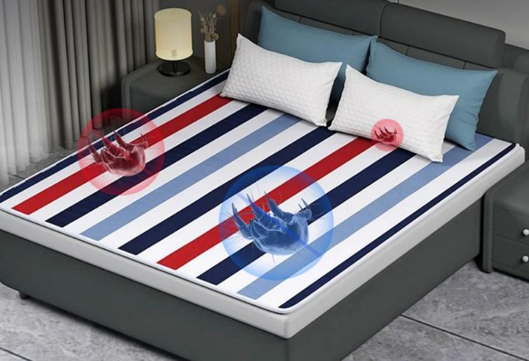 Electric Heated Blanket